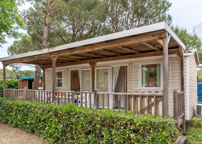Club Del Sole Marina Family Tatil parkı Punta Marina